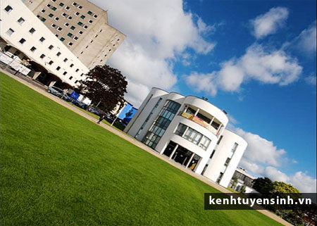 Lựa chọn trường University of Dundee khi du học Scotland